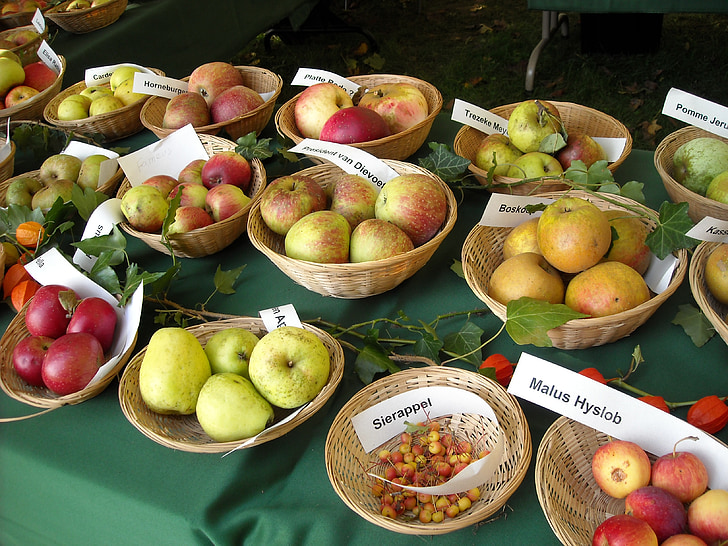 jablka, ovoce, ovoce, odrůdy jablek, Ovocnářství, ovocné uznání, jídlo