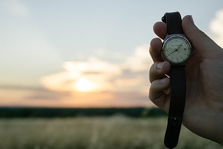 time, watch, field, nature, natural, clock, business