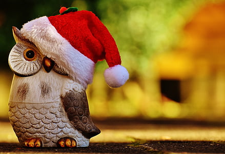 Vianoce, Sova, Santa klobúk, kontemplatívny, obrázok, dekorácie, milý