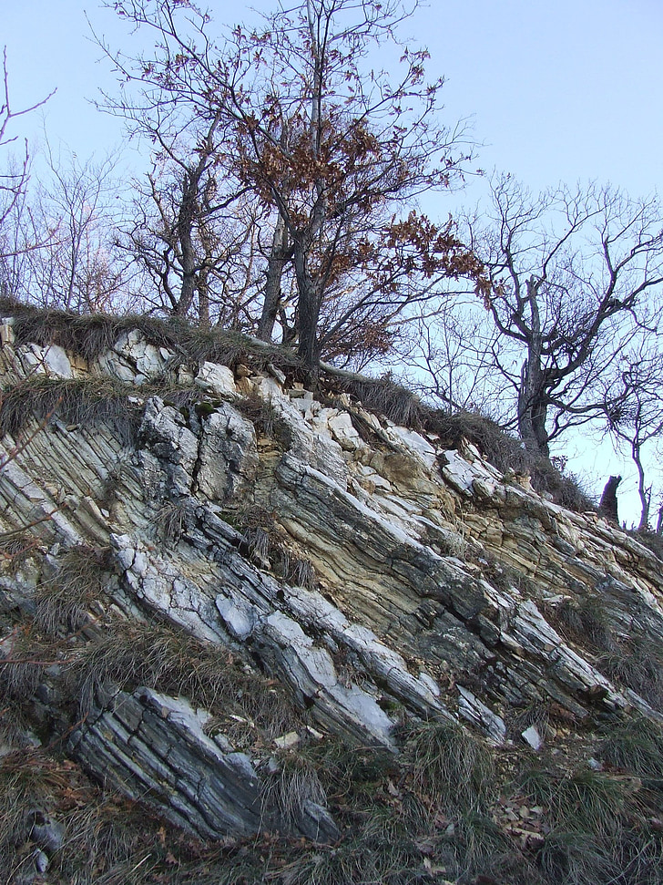 Beech mountain, slate lằn nhăn, rock lằn nhăn, trầm tích, vách đá, đá vôi, Thiên nhiên