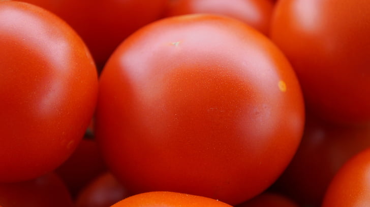 tomaatit, punainen, kypsä, Vitamiinit, terve, Harvest, Ruoka