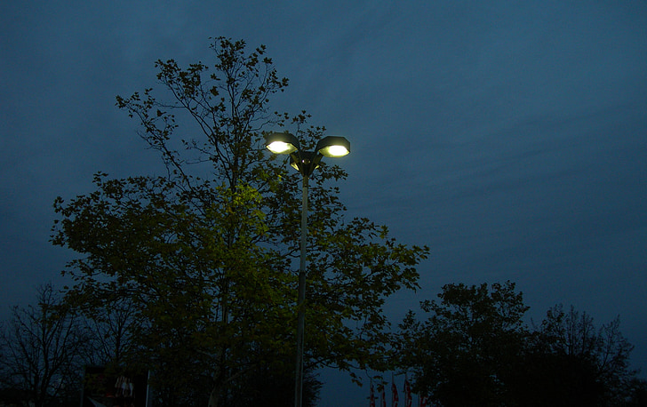 natt, lanterner, lamper, utendørs, lampe, belysning, natur