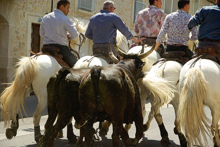 Camargue, ταύροι, gardians, και φεστιβάλ χωριό, Feria