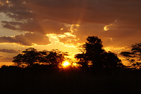 naplemente, lemenő nap utolsó sugarai, táj, Afrika, Botswana, Okavango
