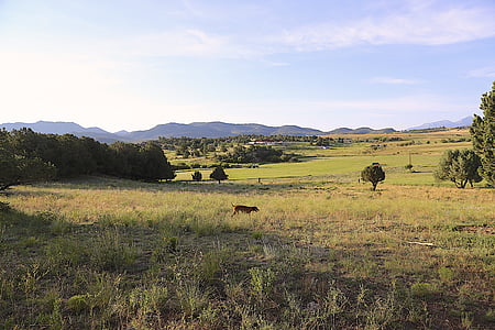 Colorado, maaseudulla, nulikka (hautominen), kesällä, Nähtävyydet, Farm, vuoret