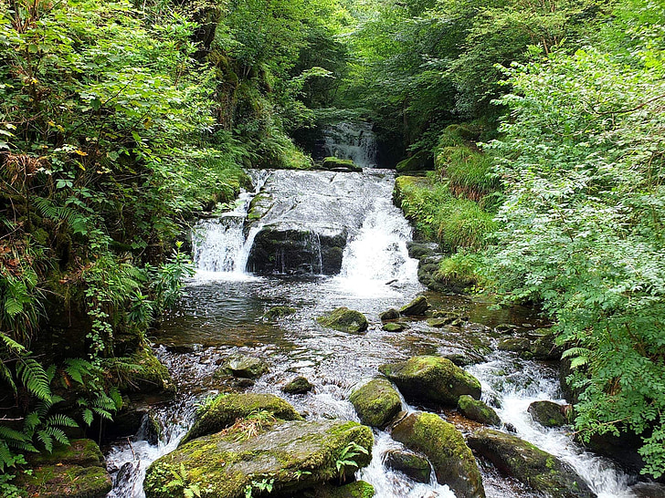 vesiputous, River, Stream, Metsä, Rocks, Luonto