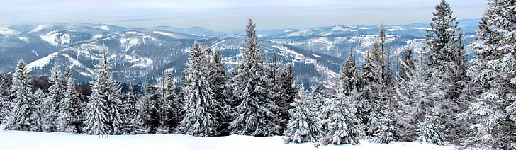 Winter, Landschaft, Schnee, Berge, Baum, Blick, weiß