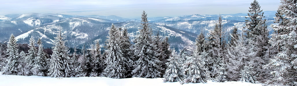 talvi, maisema, lumi, vuoret, puu, näkymä, valkoinen