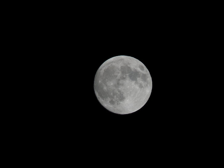 moon, full moon, the night sky