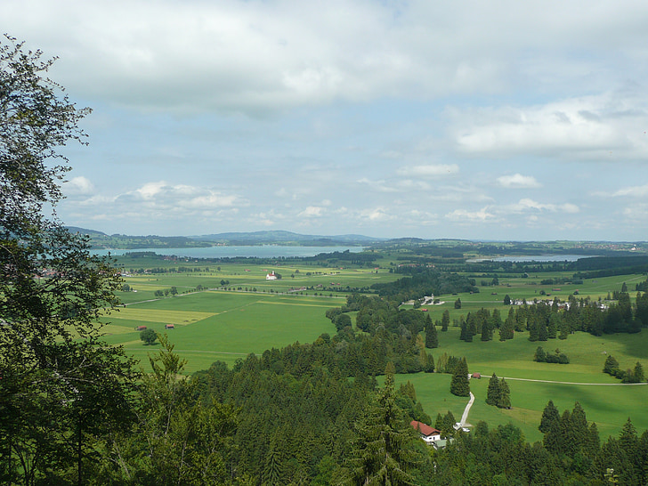 Alpsee, jezioro łabędzie, Widok, Allgäu, Füssen