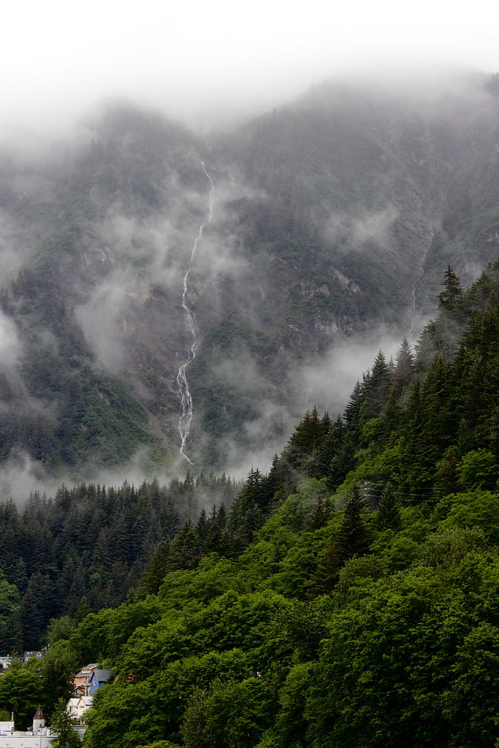 montagne, couverts, arbres, brouillard, en journée, vue, Nuage