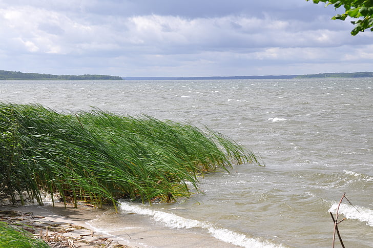 ondes de tempête, : Plauer see, roseau, Mecklenburgische seenplatte, nature, Sky, eau
