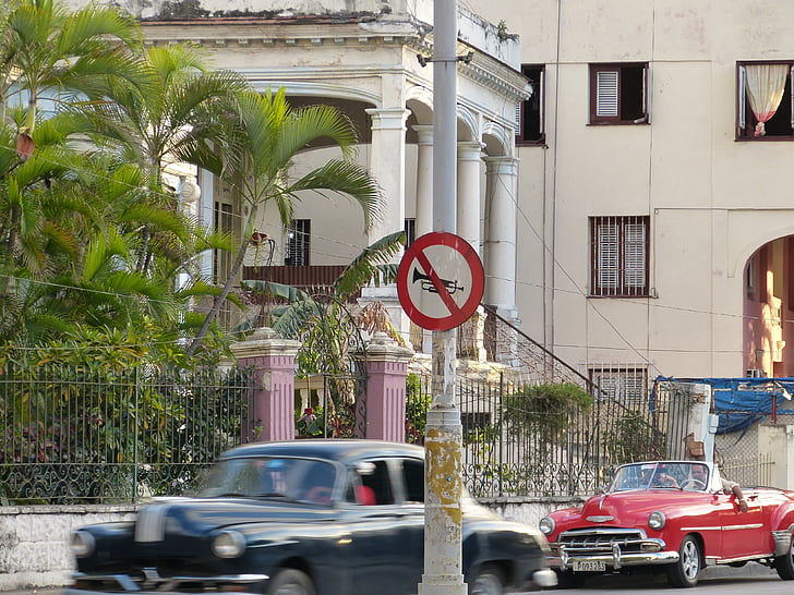 horn, cuba, palm, car, street, architecture, havana