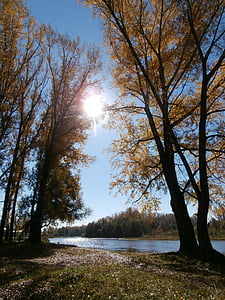 vatten, liten flod, floden, hösten, träd, naturen, Strosa