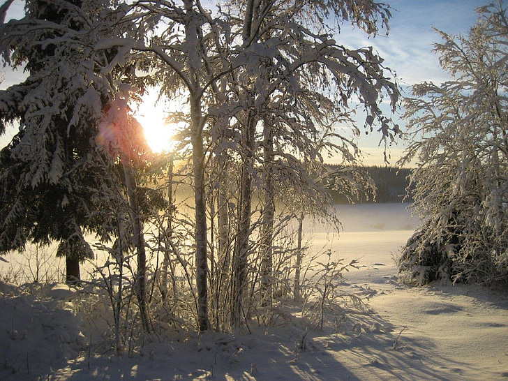 talvi, aurinko, Luonto