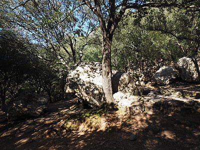 Oak forest, Rock, kalkkikiven, Karst maisema, puut, Stone oak, Satu