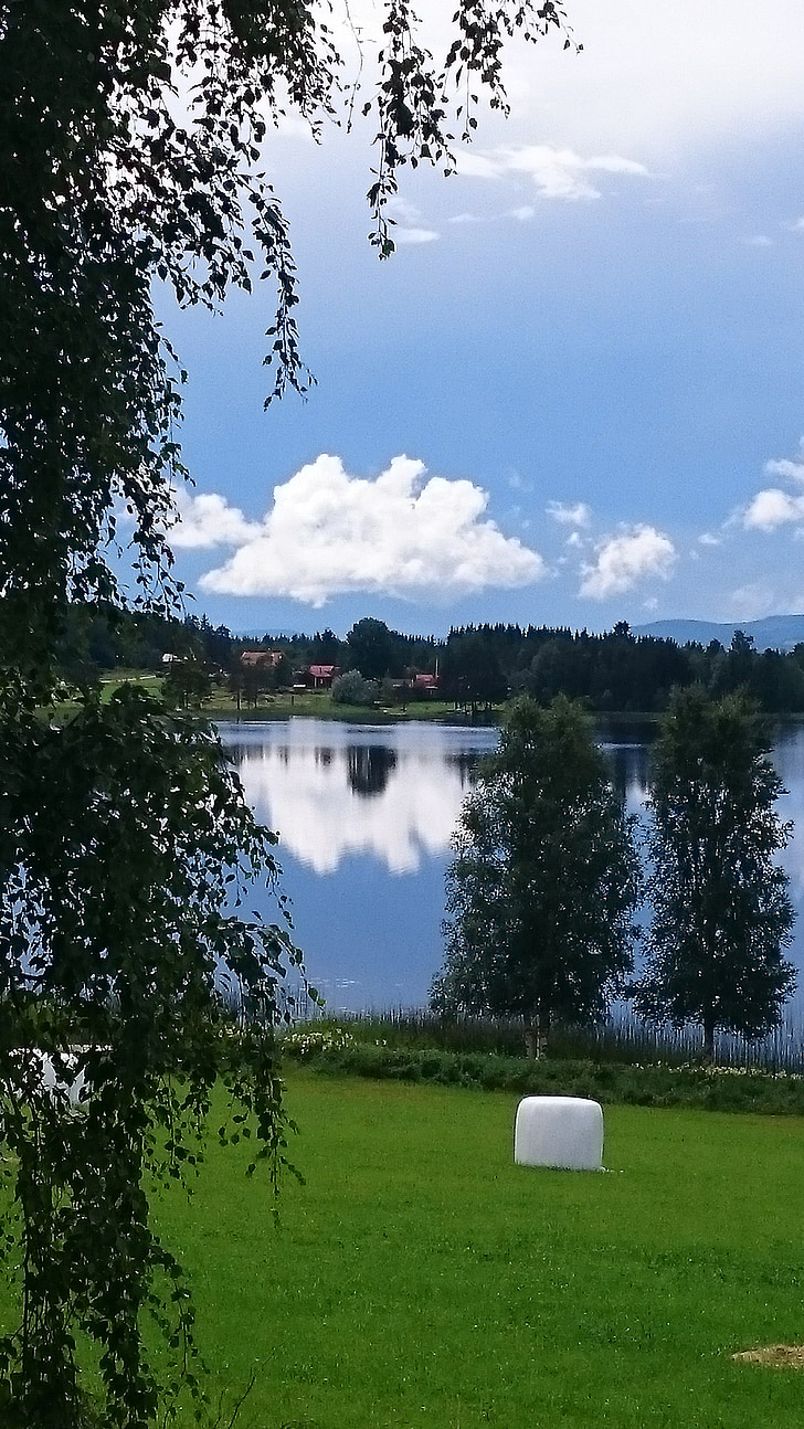 Jezioro, Natura, Latem, woda reflection, lasu, wiosna, Park