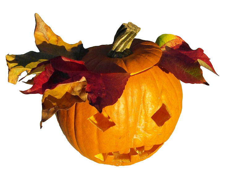zucca, zucca di Halloween, vendemmia, giorno del ringraziamento, arancio, autunno, decorazione