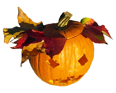 græskar, centnergraeskar, høst, Thanksgiving, orange, efterår, dekoration