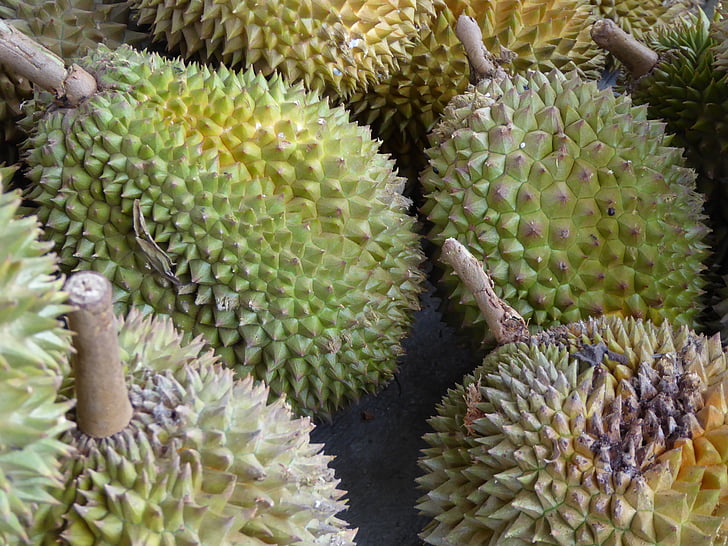 Durian, Java, Indonésia, frutas, comida, Ásia