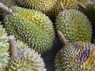 Durian, Java, Indonesien, frugt, mad, Asien