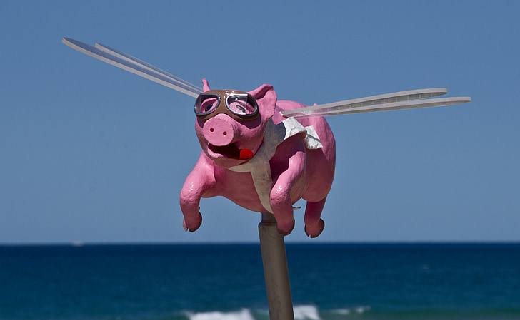 pig, flying, sculpture, art, animal, pink, cartoon