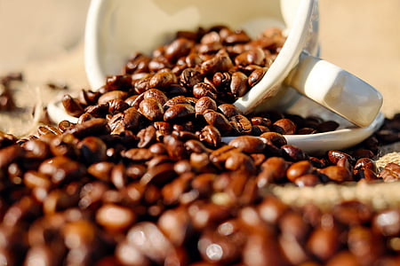 koffie, koffiekopje, porselein, koffiebonen, bonen, profiteren van, eten en drinken