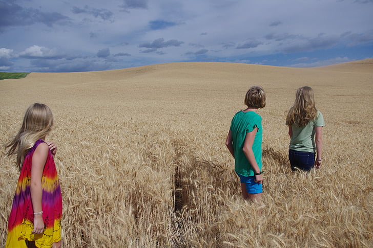 girls, wheat, field, golden, landscape, teen, people