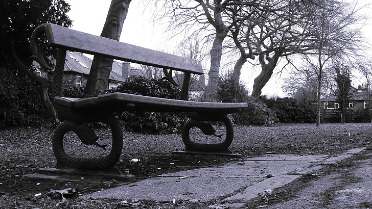 bench, park, park bench, black and white, monochrome, wood, tree