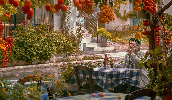Sonbahar, yaşlı adam, anılar, domates, doğa, Kıdemli, Yunanistan