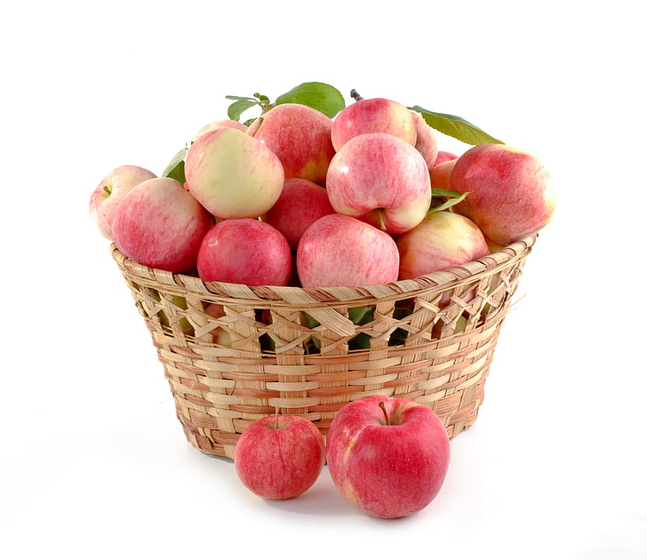 apples, basket full, set, crop, food, fruit, autumn