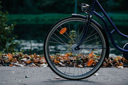 kerékpár, kerékpár, motoros, szín, ciklus, kerékpáros, őszi