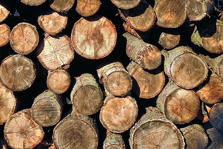 Holzstapel, trama, legno, natura, accatastati, taglio del filetto di pettini