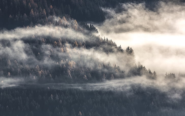 Hava, sis, dağın tepesinde, sisli, Şafak, ağaçlar, manzara
