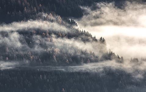 aerial, fog, mountain top, foggy, dawn, trees, landscape