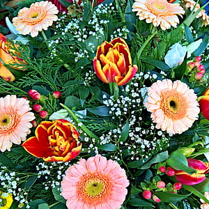 Kevadine kimp, lilled, Paljud lilled, tulbid, Gerbera, Gypsophila, Värviline
