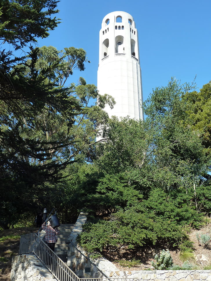 Coit tower, Architektura, Wieża, drzewa, Widok, San francisco, Kalifornia