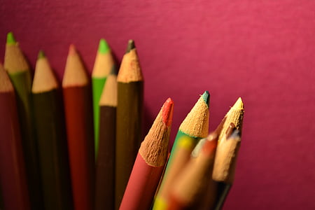 pencils, education, drawing, color, school, colorful, draw