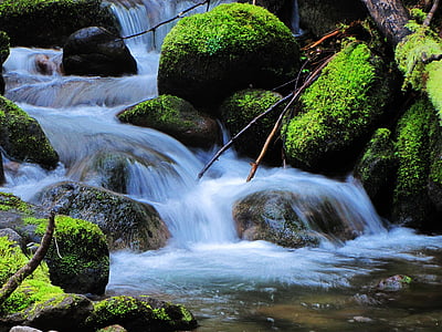 Creek, natur, naturlige, flyder