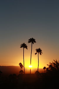 Słońce, palmy, niebo, zachód słońca, palmy, Natura, sylwetka