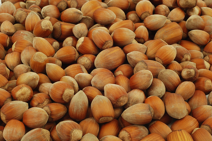 nuts, hazelnuts, fruit, healthy food, fresh, closeup, hazelnut