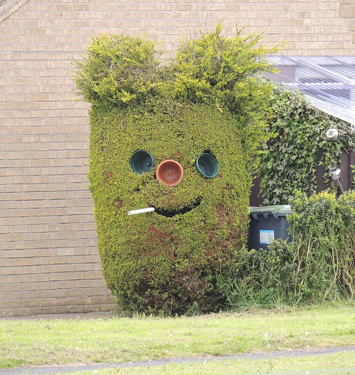hedge, funny, face, smoking, outdoor, character, smiling