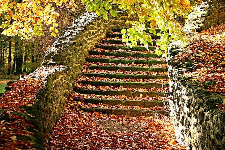 jeseni, stopnice, padec listje, korak stopnišč, grajski park, Ludwigslustu-parchim, jama