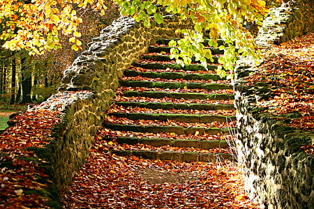 podzim, schodiště, padajícího listí, schody, Zámecký park, Ludwigslust parchim, jeskyně