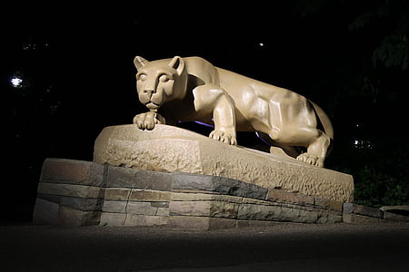 bloc d’alimentation, Lion, lion de montagne, State college, État de Penn, Sanctuaire, nuit