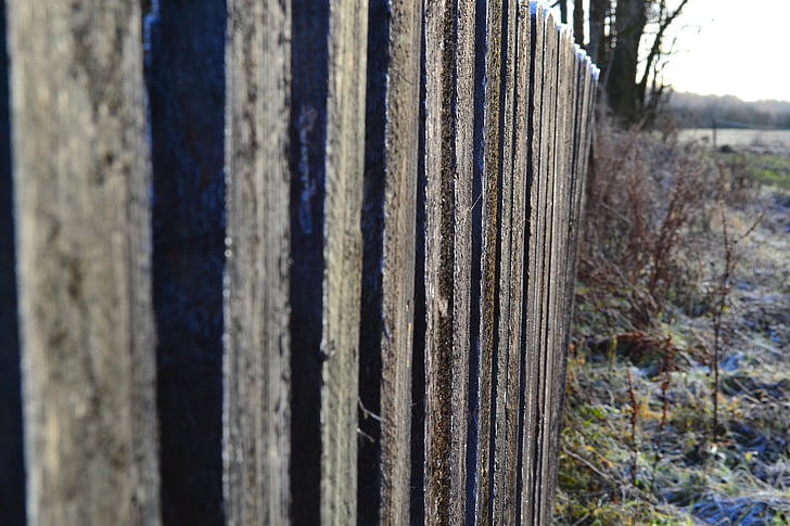 çit, Frost, raylar, Kış