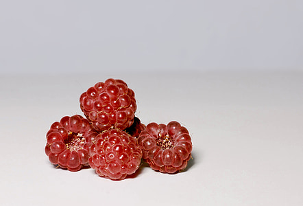 Raspberry, Berry, merah, buah, selera, closeup