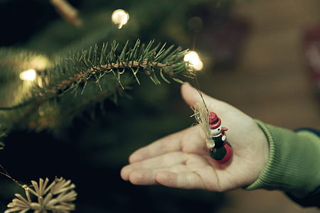 Unschärfe, Bokeh, Filiale, Feier, Weihnachten, Weihnachts-Dekoration, Christmas ornament