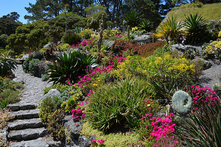 Botanikos sodas, sodas, augalų, medžiai, Gamta, Naujoji Zelandija, gėlės