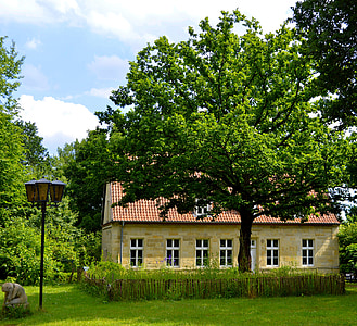Traumhaus, Waldhaus, Baum, atmosphärische, Wald, Natur, Fenster
